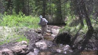 Episode 4 Greenback Cutthroat Trout in Colorado [upl. by Anselmo]