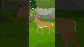 Shak Part 1  One Minute Story  Cartoon  cartoonanimal [upl. by Nilhsa]