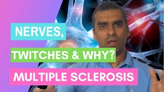 Multiple Sclerosis MS  Nerves Twitches and Why [upl. by Lapointe670]