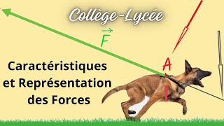 Comment caractériser et modéliser une force [upl. by Undine133]