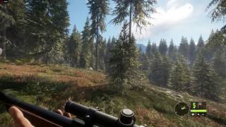 theHunter Call of the Wild  r9 290  AMD FX 8350  Ultra [upl. by Erdman393]