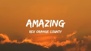 Rex Orange County  AMAZING Lyrics [upl. by Spense]