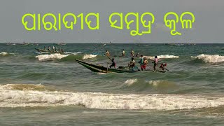 Paradeep Sea BeachMorning time Paradip bandarSea beach videoodisha sea beachparadipSMRUTI TV [upl. by Eiramanin]