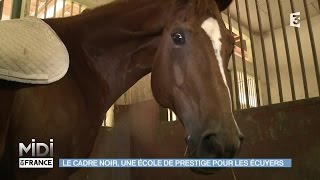 ANIMAUX  Le Cadre Noir une école de prestige pour les écuyers [upl. by Feilak704]