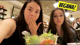 Vlog Estou Virando Vegana [upl. by Luigino838]