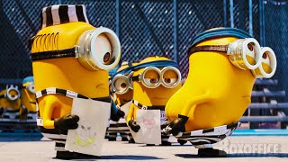 Mi villano favorito las escenas más chistosas de Minions ⚡ 4K [upl. by Aleinad550]