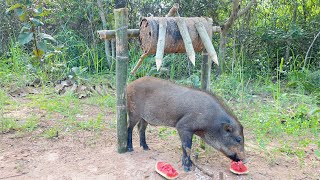 Creative Unique Wild Pig Trap Using Wood  Best Wild Pig Trapshortvideo wildpig WildboarTrapping [upl. by Aennil]