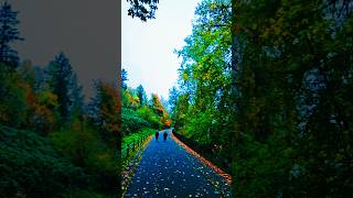 Redmond Lake usa Shorts viral redmond lake travel tours nature mountains bridge ravish [upl. by Ellesij]