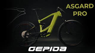 GEPDIA ASGARD PRO 2024 [upl. by Airt967]