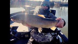 Brown Trout amp Steelhead Fishing Racine Wisconsin [upl. by Vivia949]