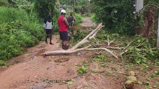 Post Hurricane Beryl update [upl. by Conall]