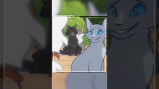 Fireheart and Bluestar duet Beilver [upl. by Aznofla]