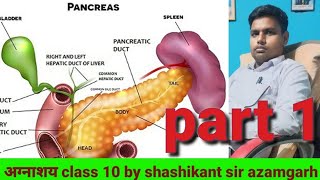 pancrease in humanGlucagoninsuline alpha beeta celldibetiesamylase lypasmixed gland [upl. by Kwok652]