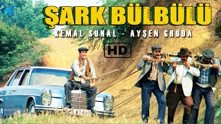 Şark Bülbülü Türk Filmi  RESTORASYONLU  Kemal Sunal Filmleri [upl. by Knapp]