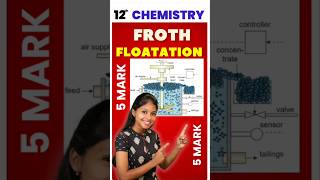 12th Chemistry Froth Flotation 5mark Quarterly Important Questions 2024 quarterlyexam [upl. by Akina253]