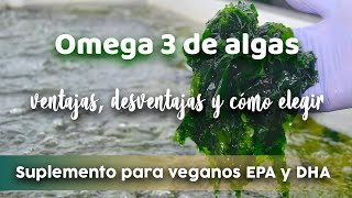 🌿🧪OMEGA 3 DE ALGAS suplemento para veganos EPA y DHA I Ventajas desventajas y cómo elegir [upl. by Chard956]