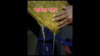 इस शहद☠️ को भूल कर भी मत खाना  Never Eat Mad Honey 🍯 llFactsMine trending factsshortsshort [upl. by Sella]