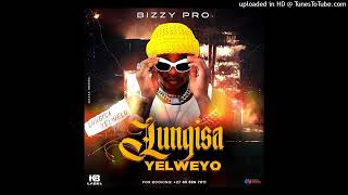 Bizzy Pro  Lungisa Yelweyo 2025 [upl. by Ydnat306]