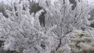 Hoar Frost in the forest [upl. by Berners]