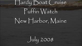 Hardy Boat Cruise Puffin Watch Tour New Harbor Pemaquid Maine [upl. by Harland]