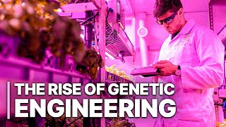 The Rise Of Genetic Engineering  GeneEditing Technology  Science Documentary [upl. by Atews]