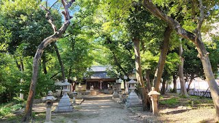 新屋座天照御魂神社大阪府茨木市 [upl. by Oker]