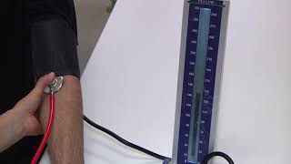 1 Measurement of blood pressure by auscultation method [upl. by Llenrap]