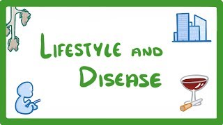 GCSE Biology  Is Your Lifestyle Really a Personal Choice  Lifestyle amp Risk Factors 42 [upl. by Linus]