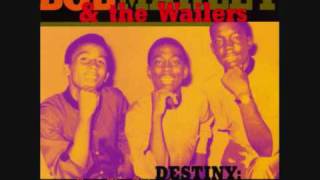 Wailing Wailers Destiny [upl. by Bonnice]