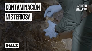 ¿Qué contienen estos sacos viscosos abandonados en el bosque  Seprona en acción [upl. by Truk]