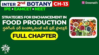 Strategies Enhancement food production Full Chapter in తెలుగు  TSAP Inter 2 Year Botany  CH  13 [upl. by Keith]