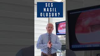 Ses Nasıl Oluşur [upl. by Valda]