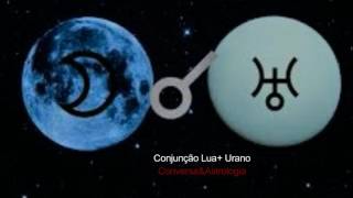 Conjunção Lua ☽  ♅ Urano [upl. by Clio]