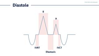 〖Echocardiography〗 Diastolic dysfunction II  time intervals amp ECG 🫀 [upl. by Nodyl]