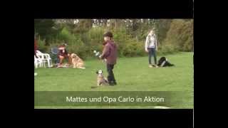 Hundeschule Loewenzahn quotKind und Hundquot [upl. by Nemracledairam]