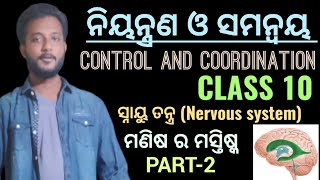 ନିୟନ୍ତ୍ରଣ ଓ ସମନ୍ଵୟ CONTROL amp COORDINATION class 10 biology chapter5 in odia  ମାନବ ର ମସ୍ତିଷ୍କ [upl. by Holihs]