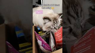 Chewy Cat Food amp Treat Unboxing Part 1 [upl. by Baoj269]