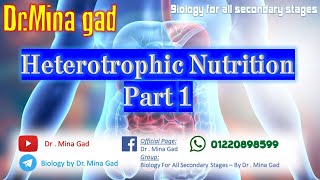 Heterotrophic nutrition part 1  Biology for second secondary DrMina Gad [upl. by Doralia]