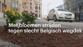 Nederlander in actie bloemen tegen slechte Belgische wegen  RTL NIEUWS [upl. by Attirb638]