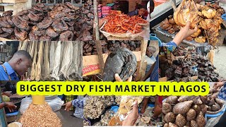 Cheapest and biggest dry fish market in Lagos  Current price  food market  Otto fish market [upl. by Lily]