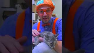 Blippis Pet Cat Care  Animals for Kids  Educational Videos blippi pets shorts [upl. by Maon822]