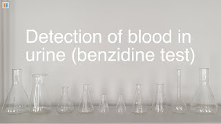 66 Detection of blood in urine benzidine test [upl. by Paige]