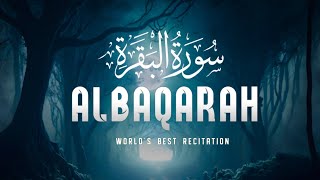 SURAH  Al BAQARAH  problem solve  recitation  QuranTV [upl. by Ciredec484]