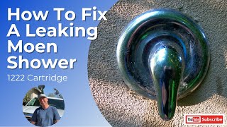 How to fix a leaking Moen Shower [upl. by Skippy609]