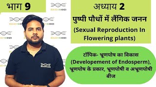 अध्याय 2 भाग 9 पुष्पी पौधों में लैंगिक जनन  जीव विज्ञान कक्षा 12  Sexual repro in flowering plant [upl. by Arykahs]