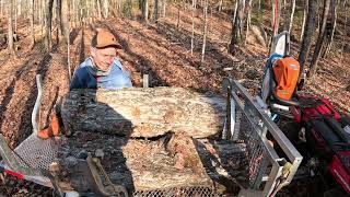 loaded the big maple logs into the wood trailer [upl. by Arv]