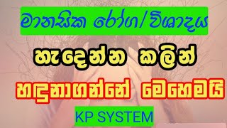 මානසික රෝගවිශාදය හැදෙන හැටි  AstrologyWithYou [upl. by Attekal860]