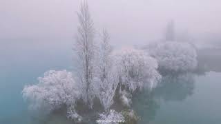 Hoar Frost 🥶 in Twizel  New Zealand [upl. by Leahcym]