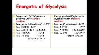 Energetics of Glycolysis Carbohydrate 6 [upl. by Nayrda839]