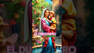 El Duraznero villancicosdenavidad cancion [upl. by Lorry158]